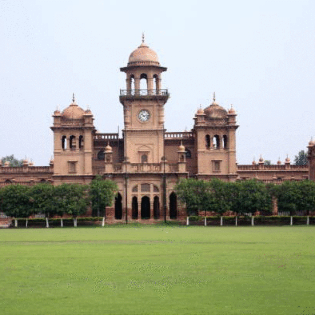 Local SEO Services in Peshawar