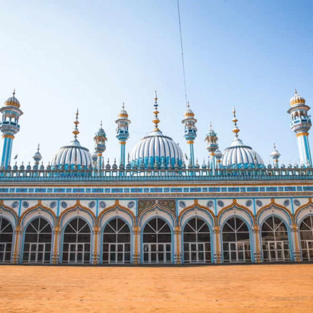 Local SEO Services in Rawalpindi