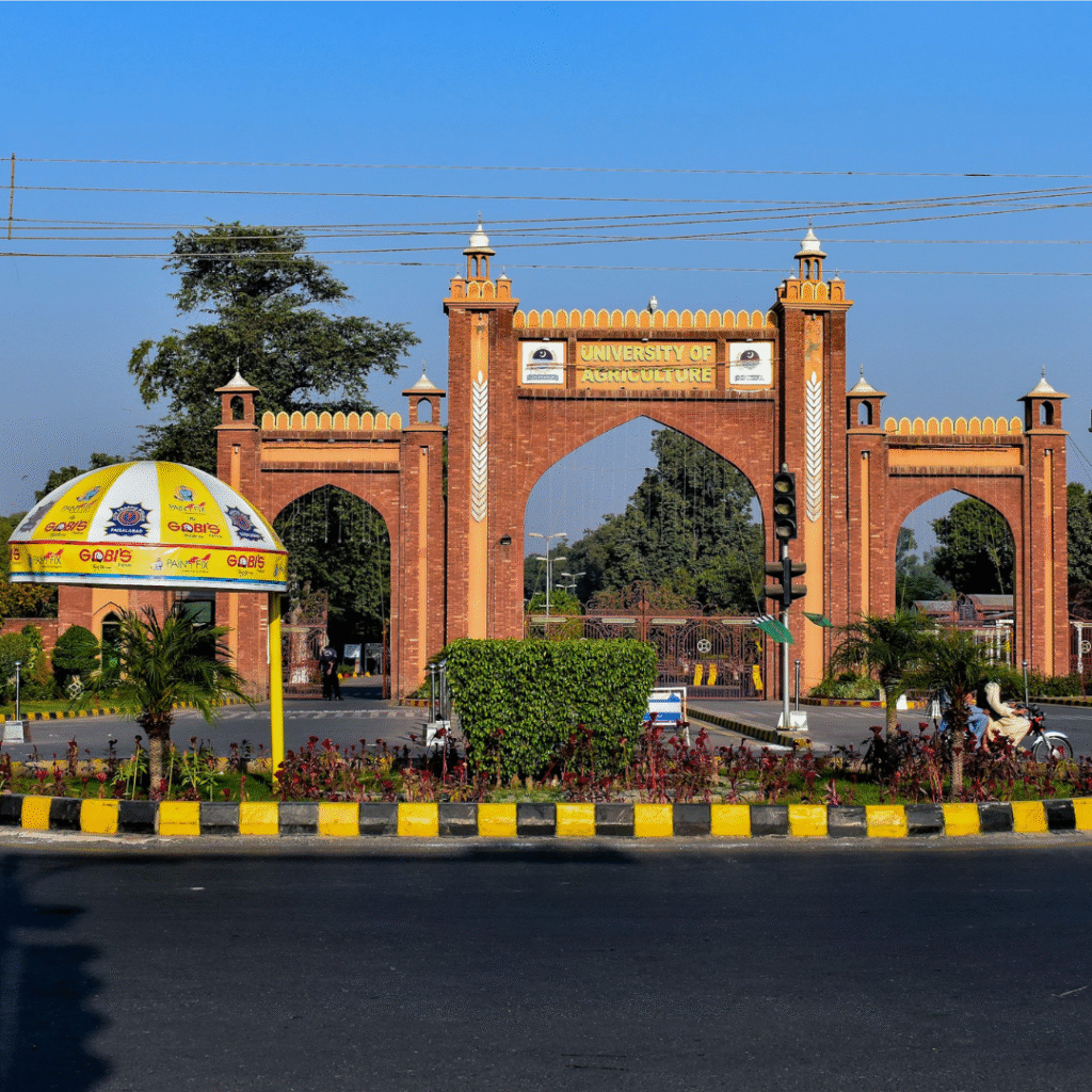 Local SEO Services in Faisalabad